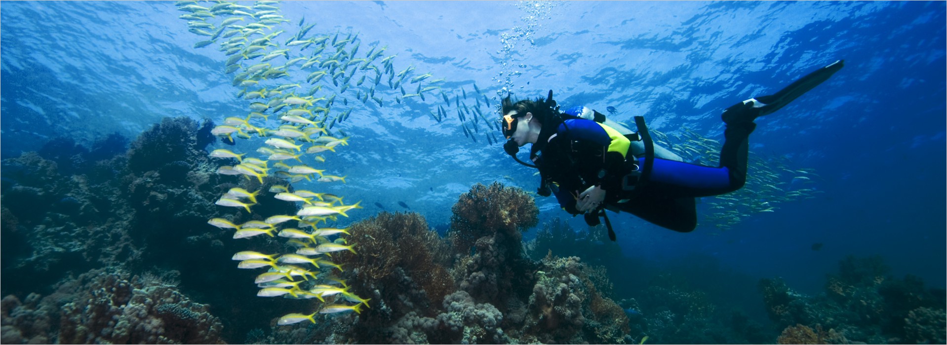 Diving Gear